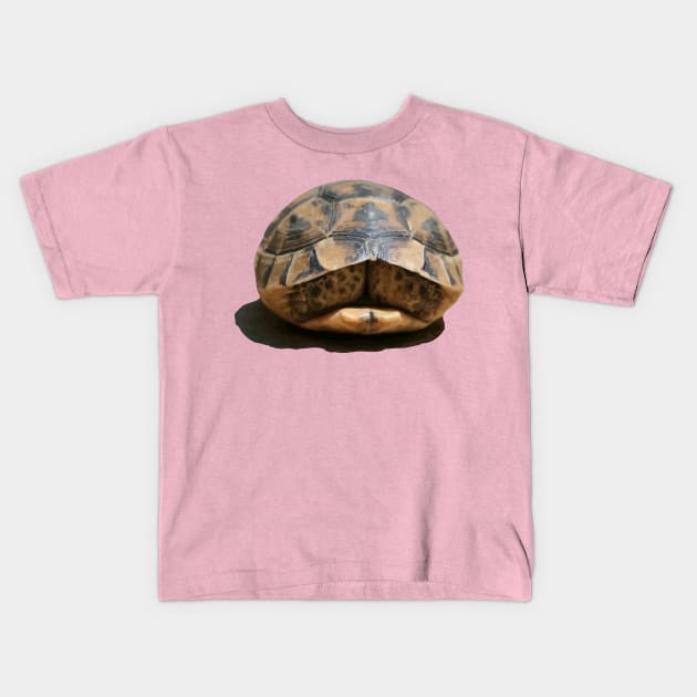 Tortoise Tucked In Vector Art Cut Out Kids T-Shirt by taiche